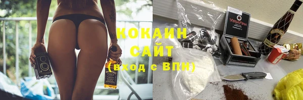 бошки Бронницы